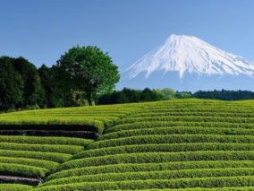 静岡のイメージ画像