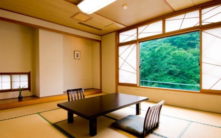 一般和室からの外の景観