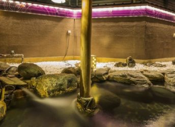 露天風呂「右近」