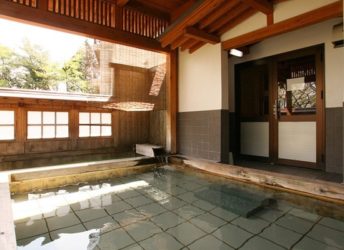 露天風呂 外側から奥への視点