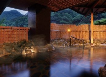 露天風呂の中の景観