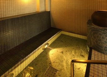 スチームミストサウナ