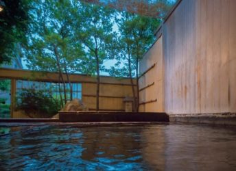 庭園露天風呂の風景 その1