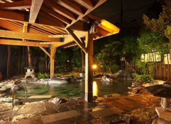 庭園大野天風呂