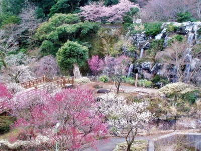 熱海梅園