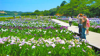 北潟湖畔の景観