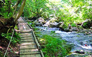 あだたら渓谷自然遊歩道