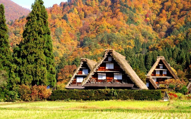 白川郷合掌村