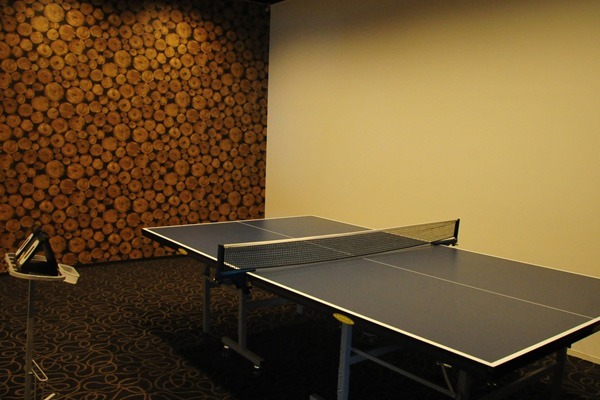 ピンポンゲーム