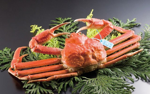 最高品質な加能ガニ