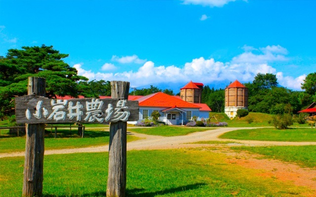 小岩井農場