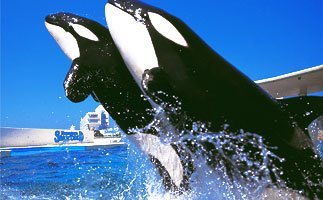 鴨川シーワールド