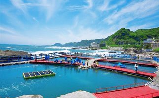 太海フラワー磯釣りセンター