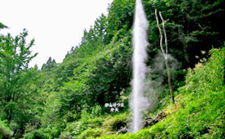 かんけつ泉の噴出す様