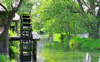 大王わさび農場の水車
