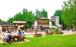 千本松牧場の場内風景