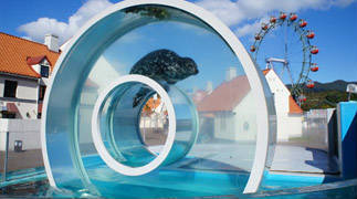 ​登別マリンパークニクスのオブジェ画像