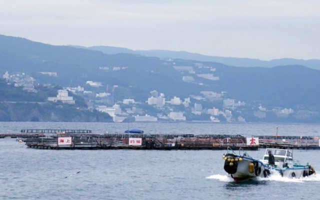 海上釣堀In熱海
