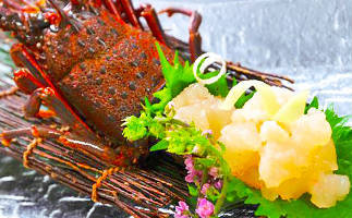 伊勢海老の刺身