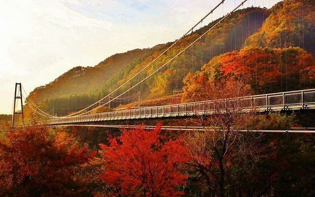 もみじ谷大吊橋