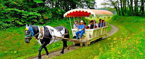 小岩井農場の風景