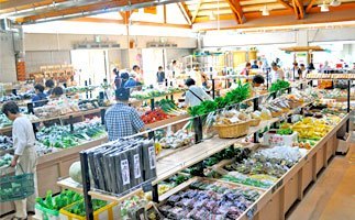 道の駅うつのみやの店内
