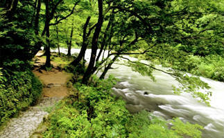 鶴仙渓画像
