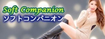 ソフトコンパニオン